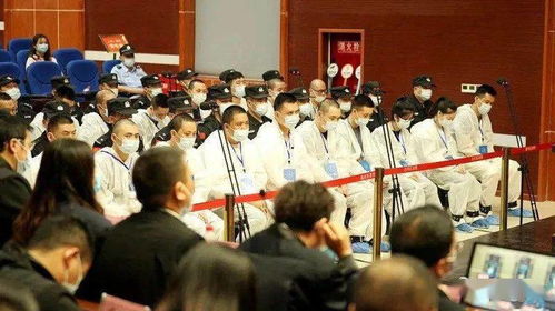 地下執(zhí)法隊 栽了 最高獲刑20年